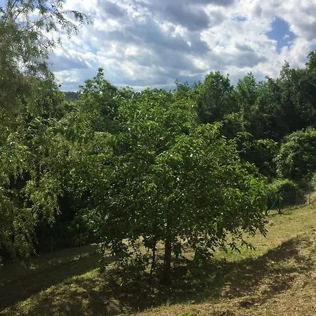 Romolina Apartment *